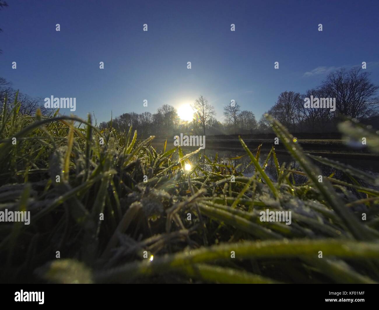 Luscious green grass sunny blue hi-res stock photography and images - Alamy