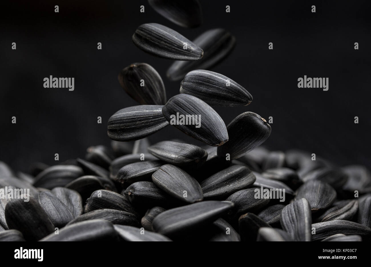 Black sunflower seeds, close-up on dark background Stock Photo - Alamy