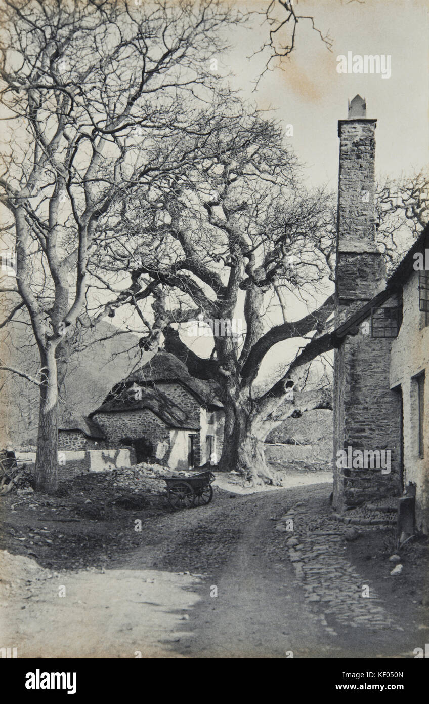 Bossington, Somerset, 1890–1910. Unknown photographer, probably Sir Henry Churchill Maxwell Lyte (1848–1940), platinum print. Lyte’s view of the villa Stock Photo