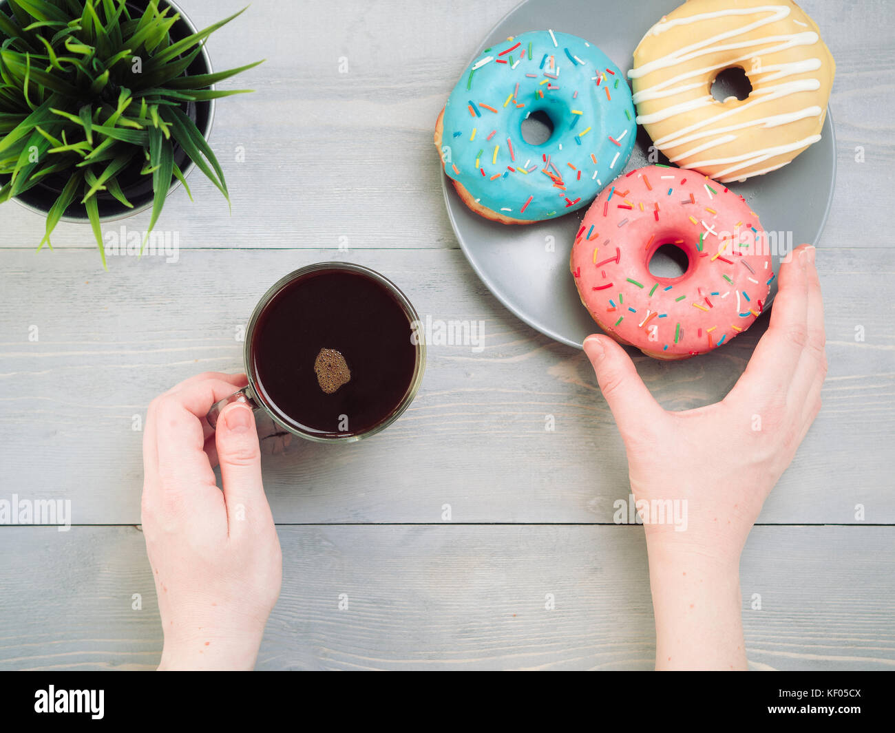 donuts on blue background , copy space, top view Stock Photo - Alamy