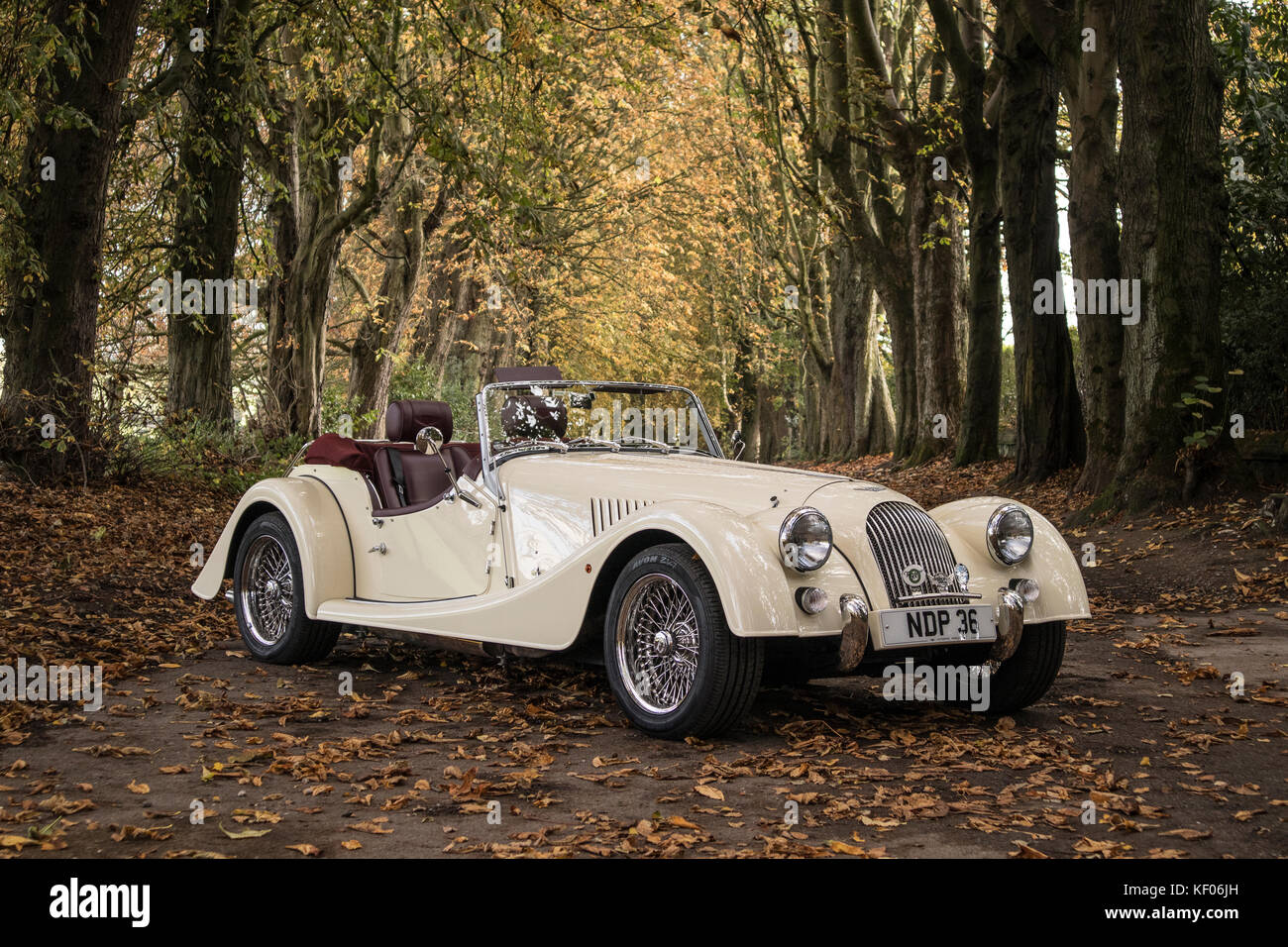 A cream Morgan Sports Car photographed in the Autumn, in Cragg Wood, Rawdon, Yorkshire Morgan 4/4 2 Seater Stock Photo