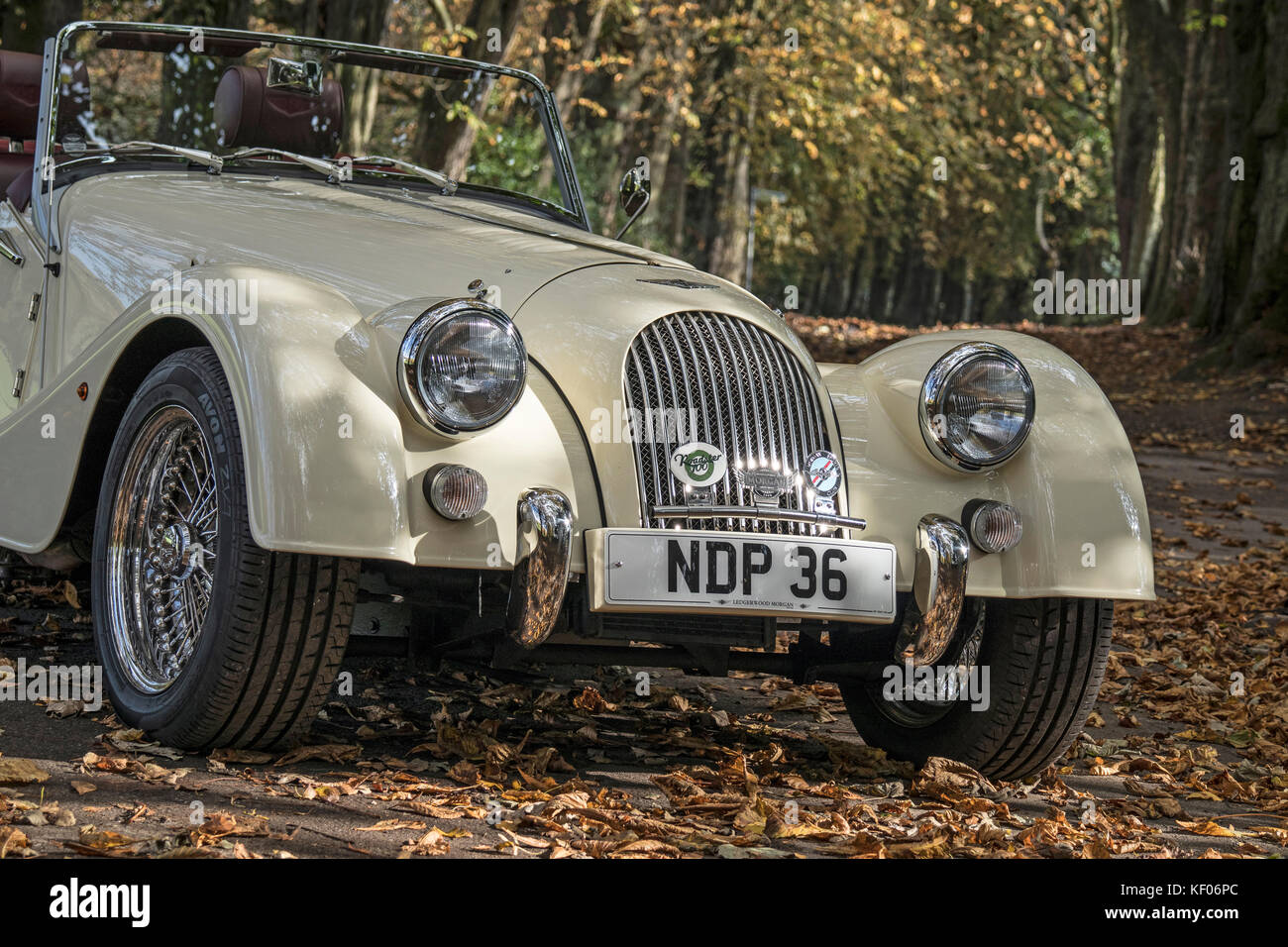 A cream Sports Car photographed in the Autumn, in Cragg Wood