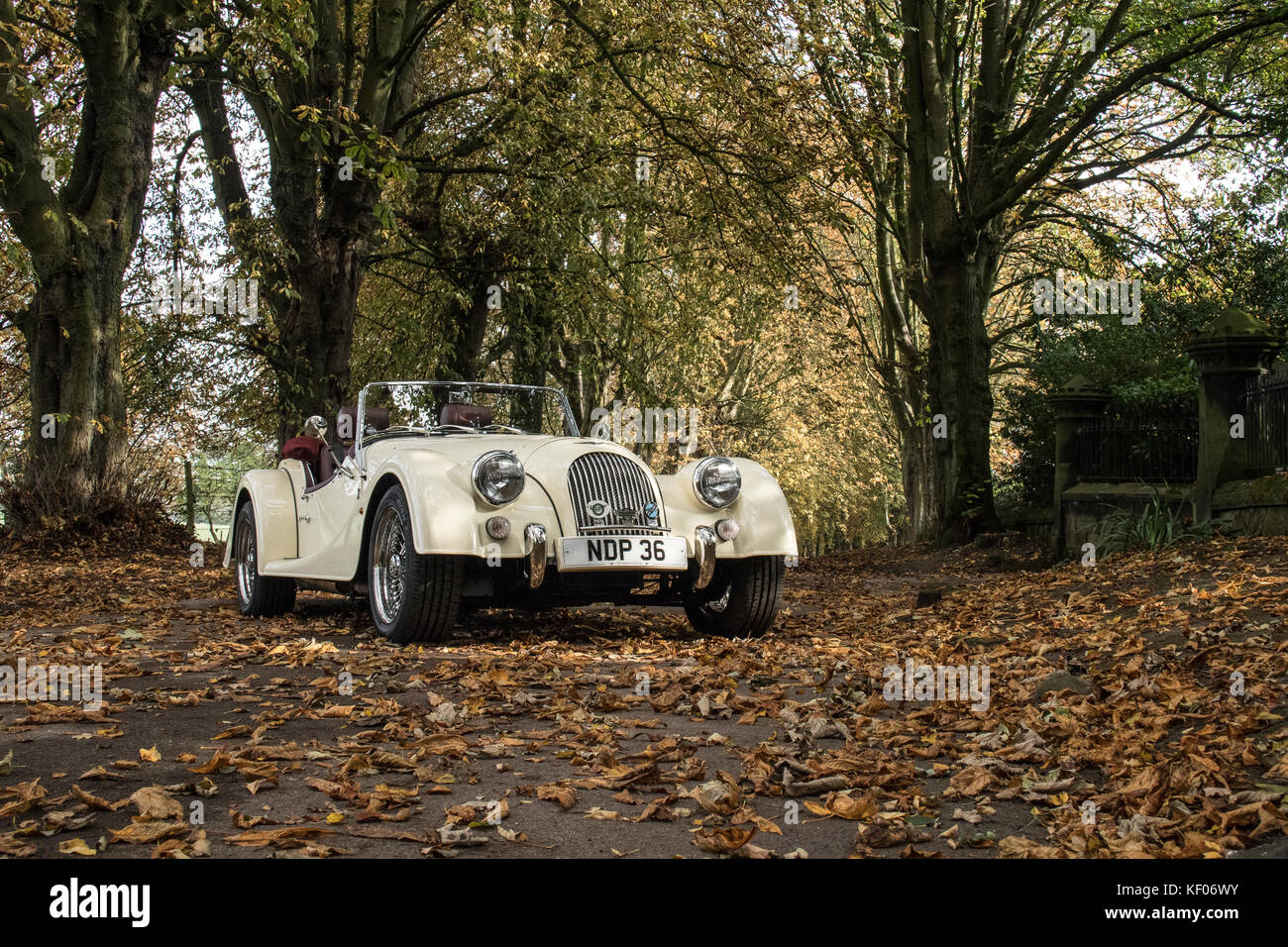 A cream Sports Car photographed in the Autumn, in Cragg Wood