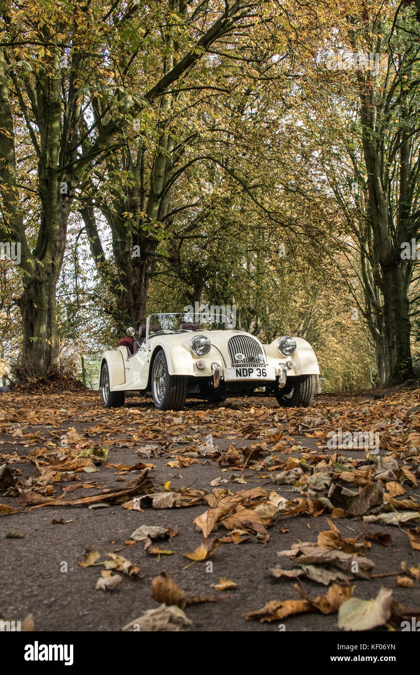A cream Morgan Sports Car photographed in the Autumn, in Cragg Wood, Rawdon, Yorkshire Stock Photo