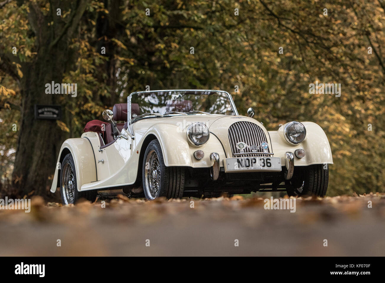 A cream Sports Car photographed in the Autumn, in Cragg Wood