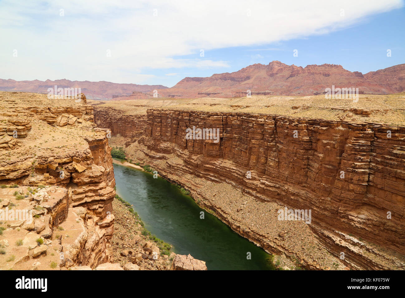 The Colorado River in the at Marble Canyon, AZ Stock Photo Alamy