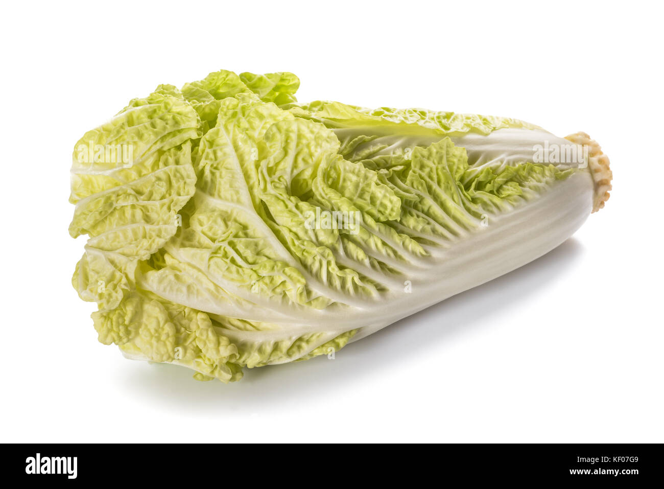 fresh chinese cabbage isolated on  white background Stock Photo