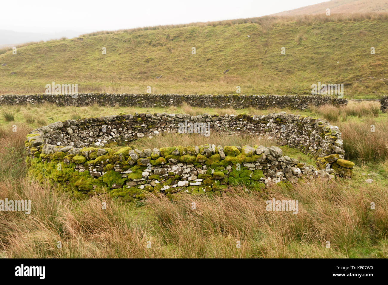 A traditional round sheep pen or enclosure in the Northumberland National Park, England, UK Stock Photo