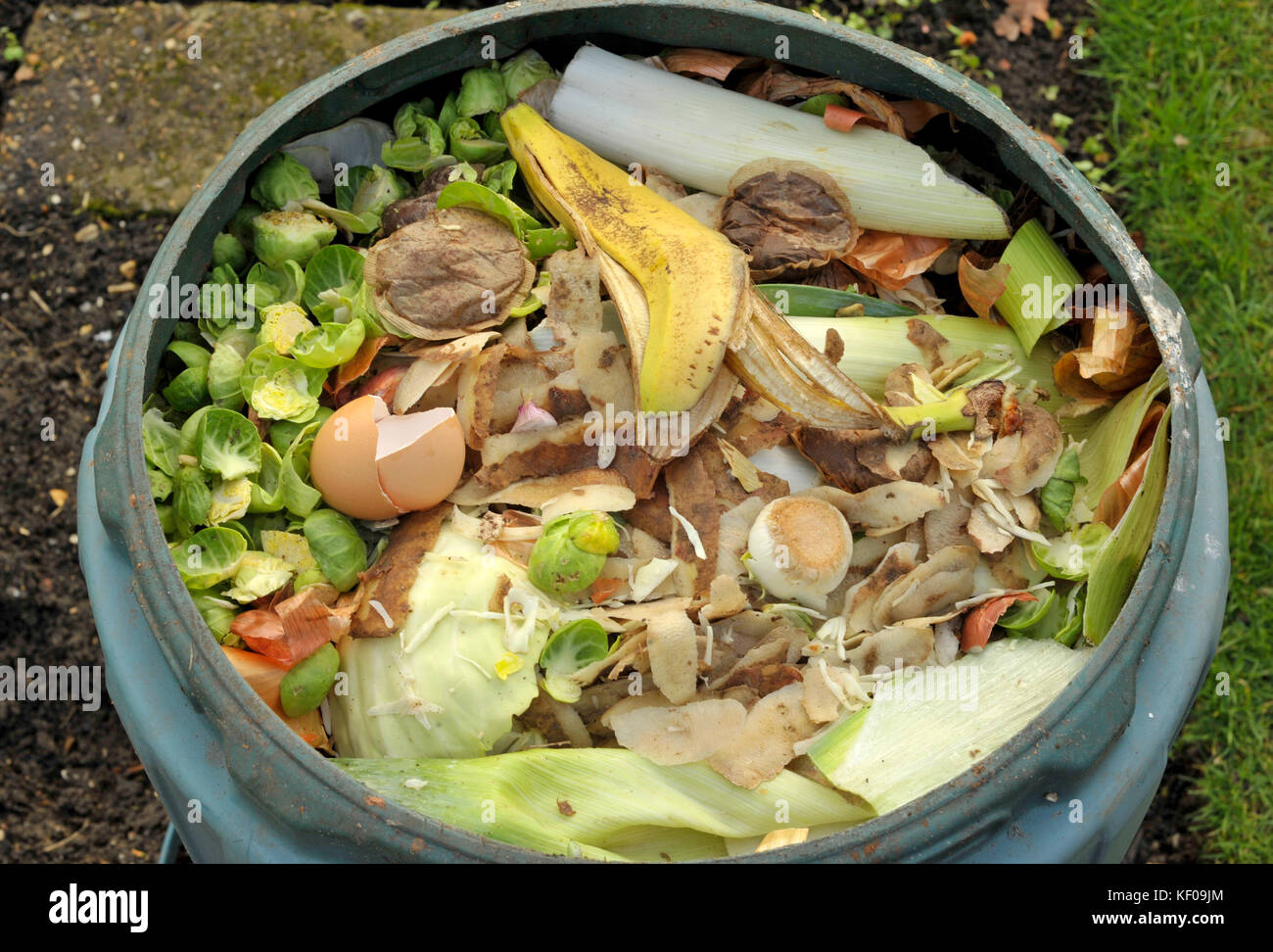 Recycling kitchen food waste in a garden compost bin including fruit