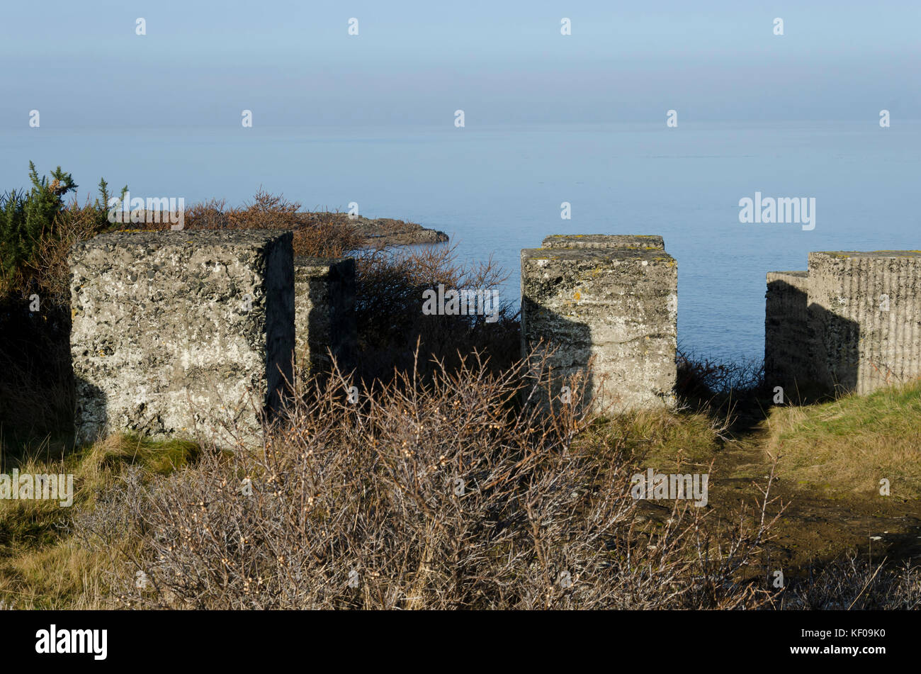 Anti-tank coast-protection concrete blocks near Aberlady Bay in East Lothian, Scotland. Stock Photo