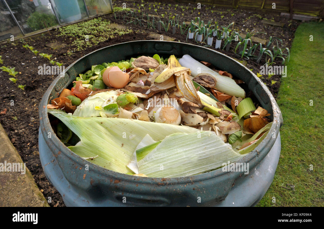 Recycling kitchen food waste in a garden compost bin including fruit