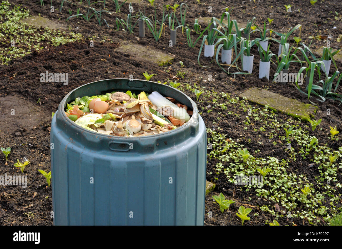 Garden compost bin for recycling kitchen food and garden waste