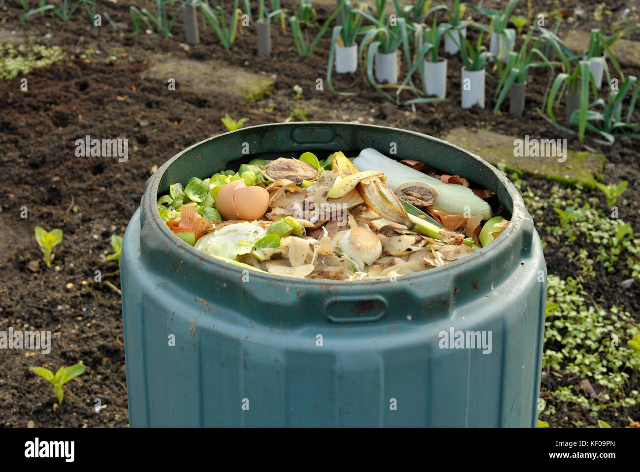 Garden compost bin for recycling kitchen food and garden waste including fruit and vegetable peelings, tea bags and egg shells. Stock Photo