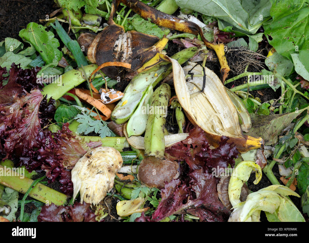 Garden compost heap with kitchen food waste and general garden waste