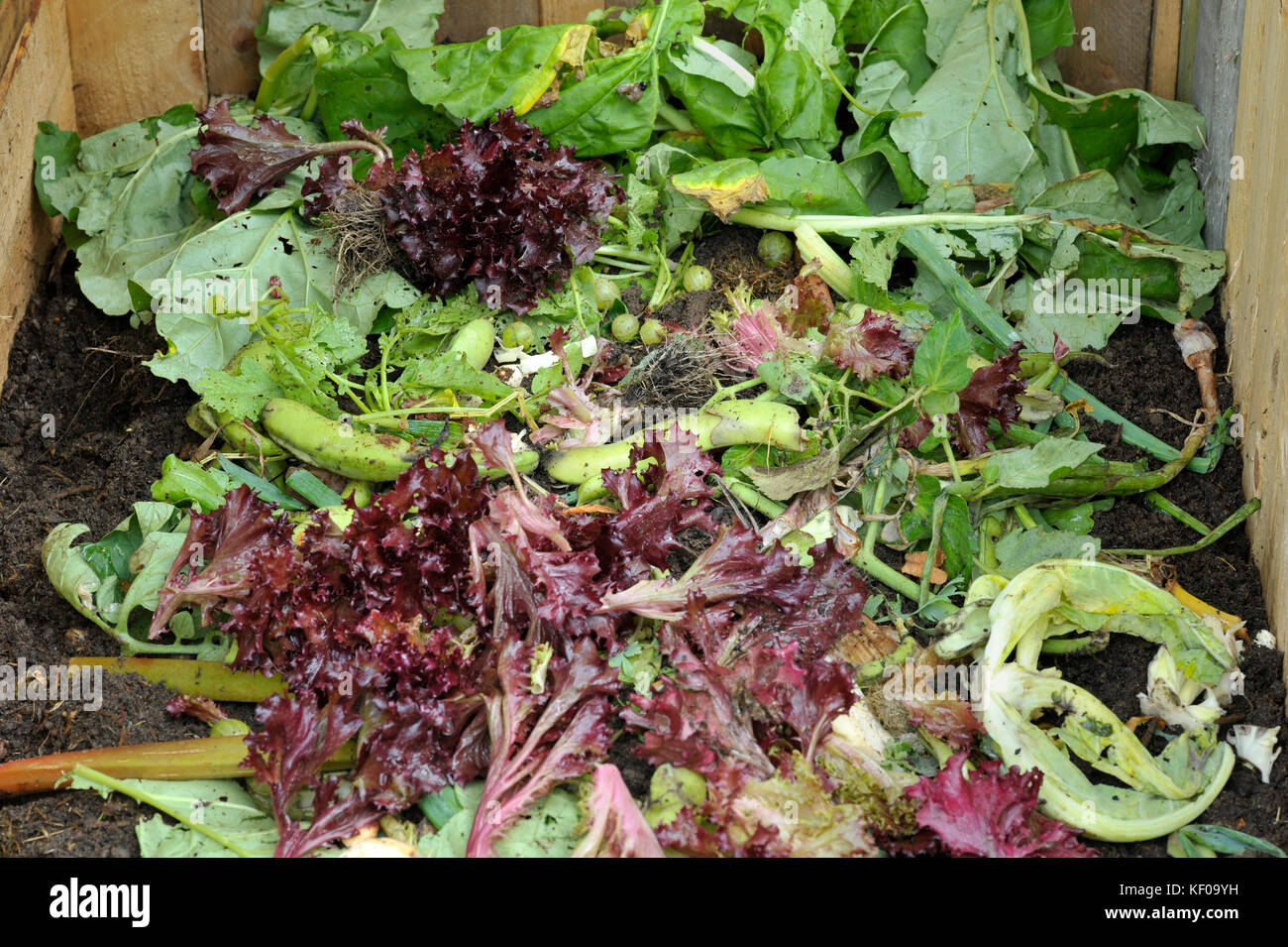 Garden recycling using a compost heap with kitchen food waste and general garden waste material including fruit and vegetables. Stock Photo