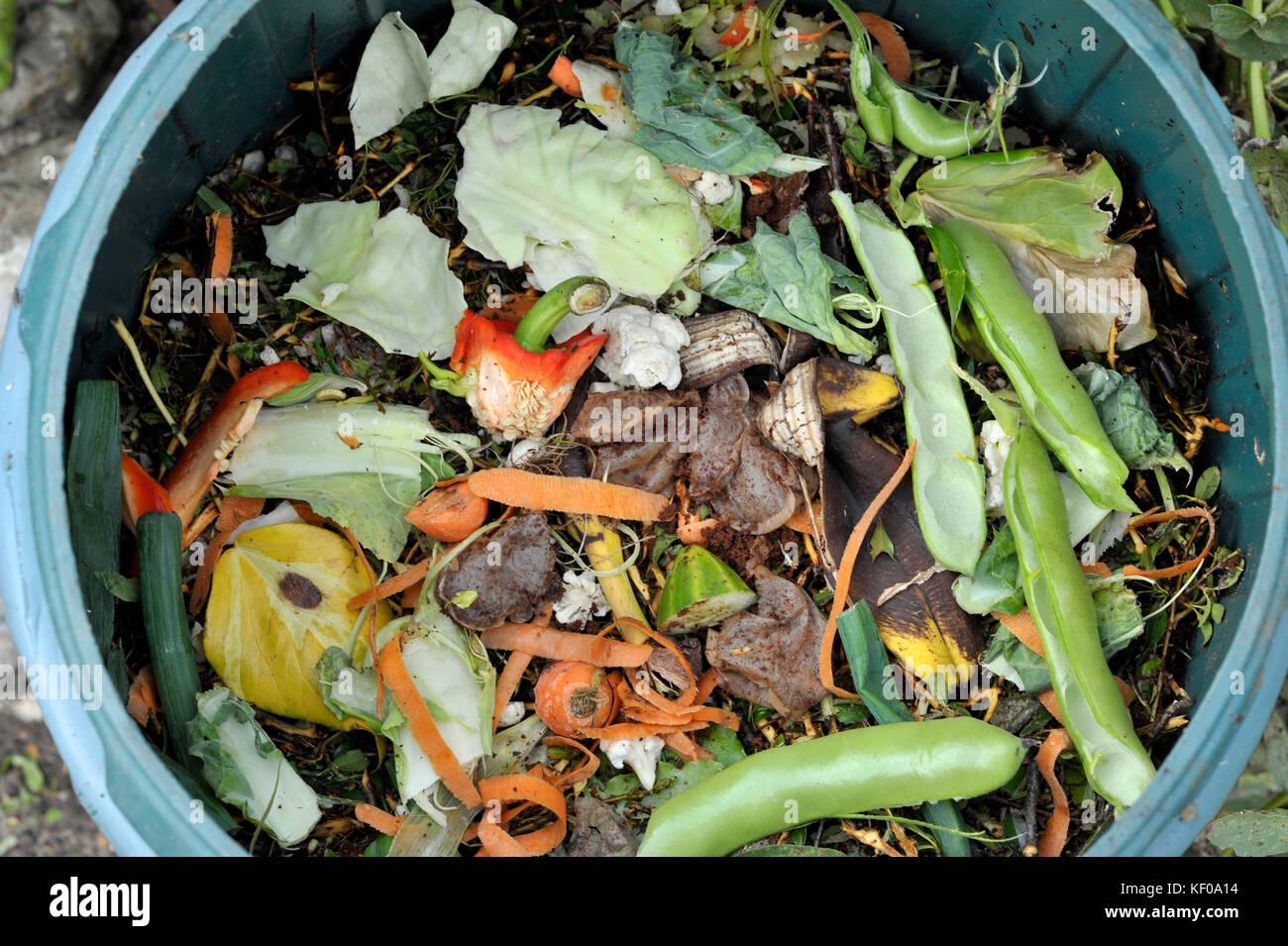 Compost Heap Vegetables Kitchen Waste Stock Photos & Compost Heap