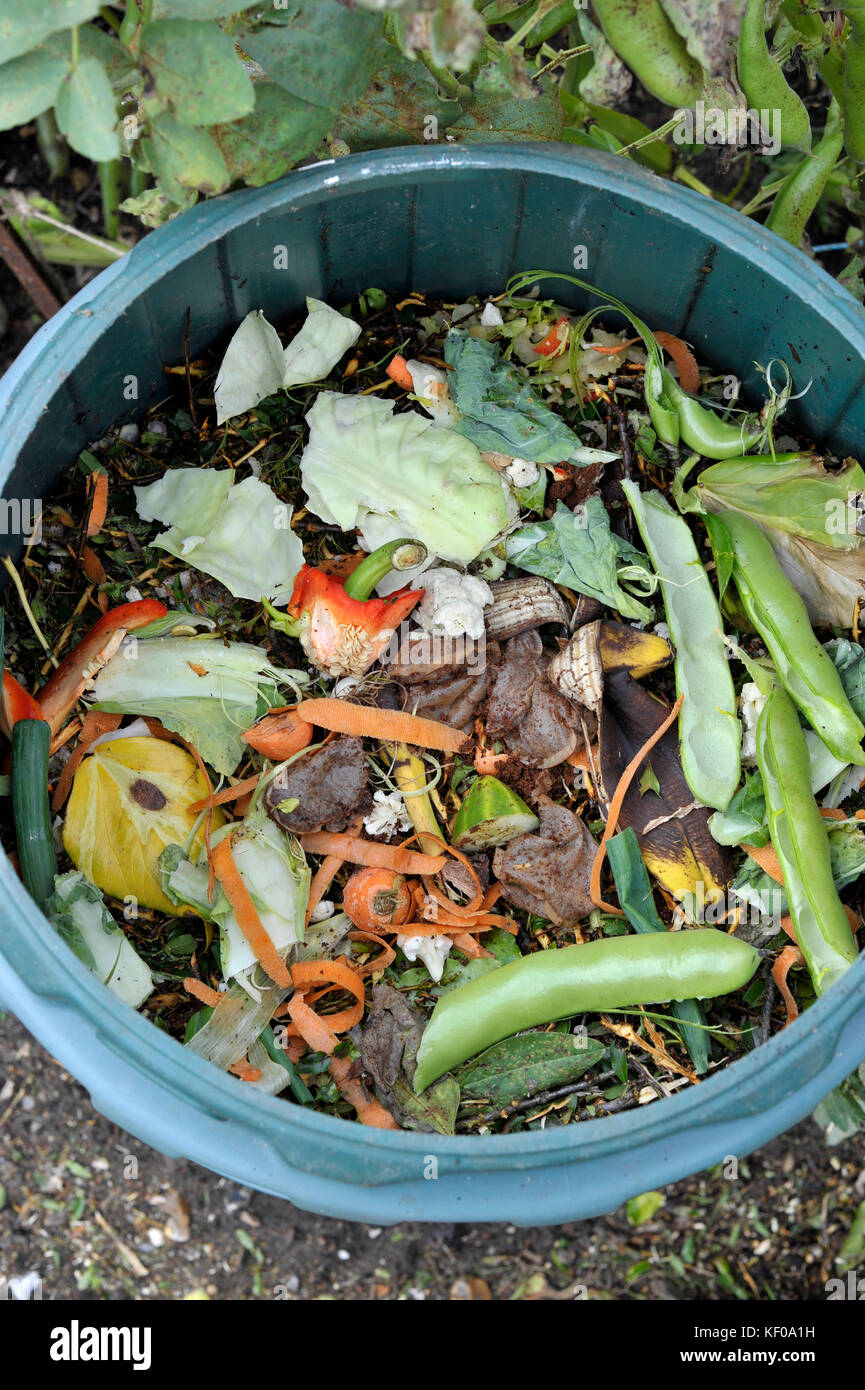 Recycling kitchen food waste in a home compost bin including fruit and