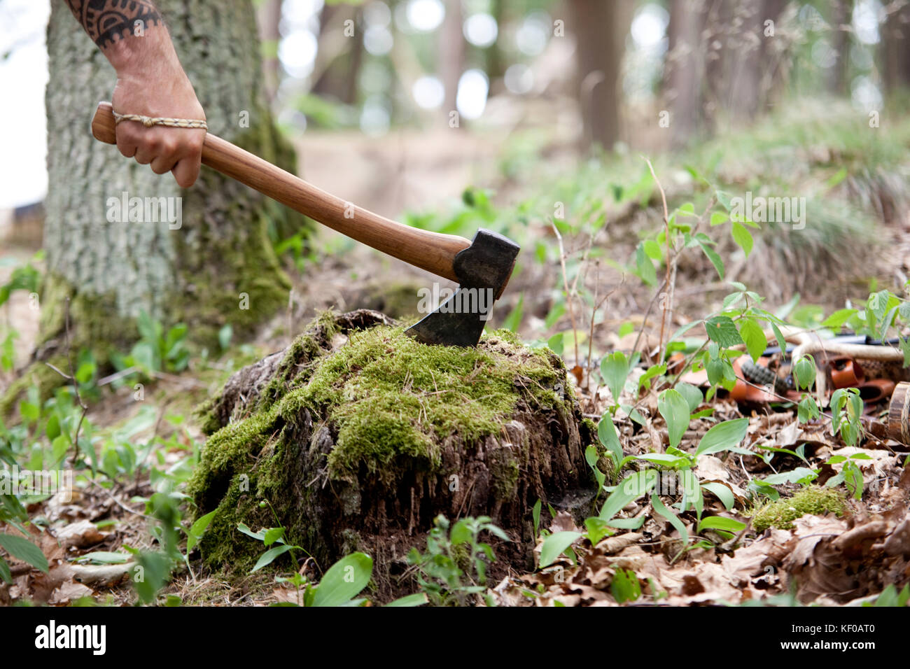 Holding axe hires stock photography and images Alamy