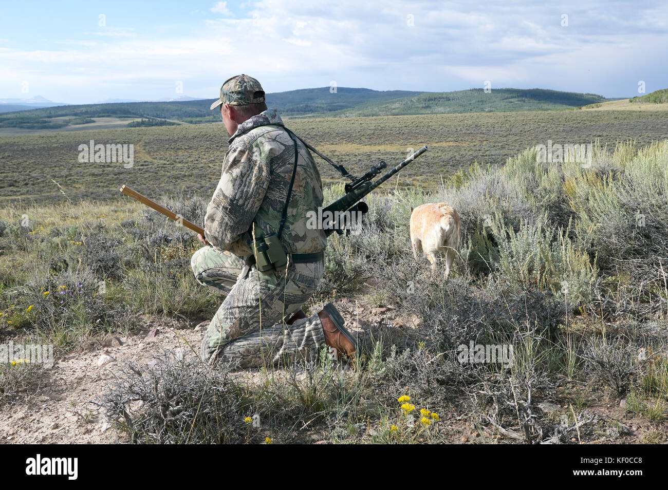 coyote hunting camo