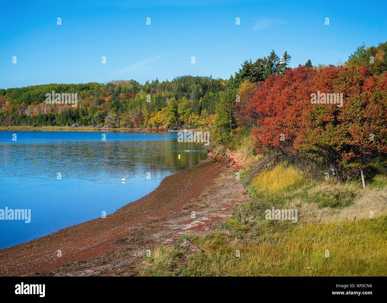 Fall foliage along a river in rural Prince Edward Island, Canada Stock