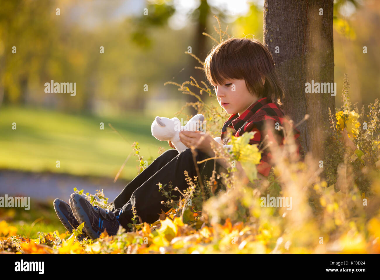 Adorable little boy with teddy bear in the park on an autumn day in the ...