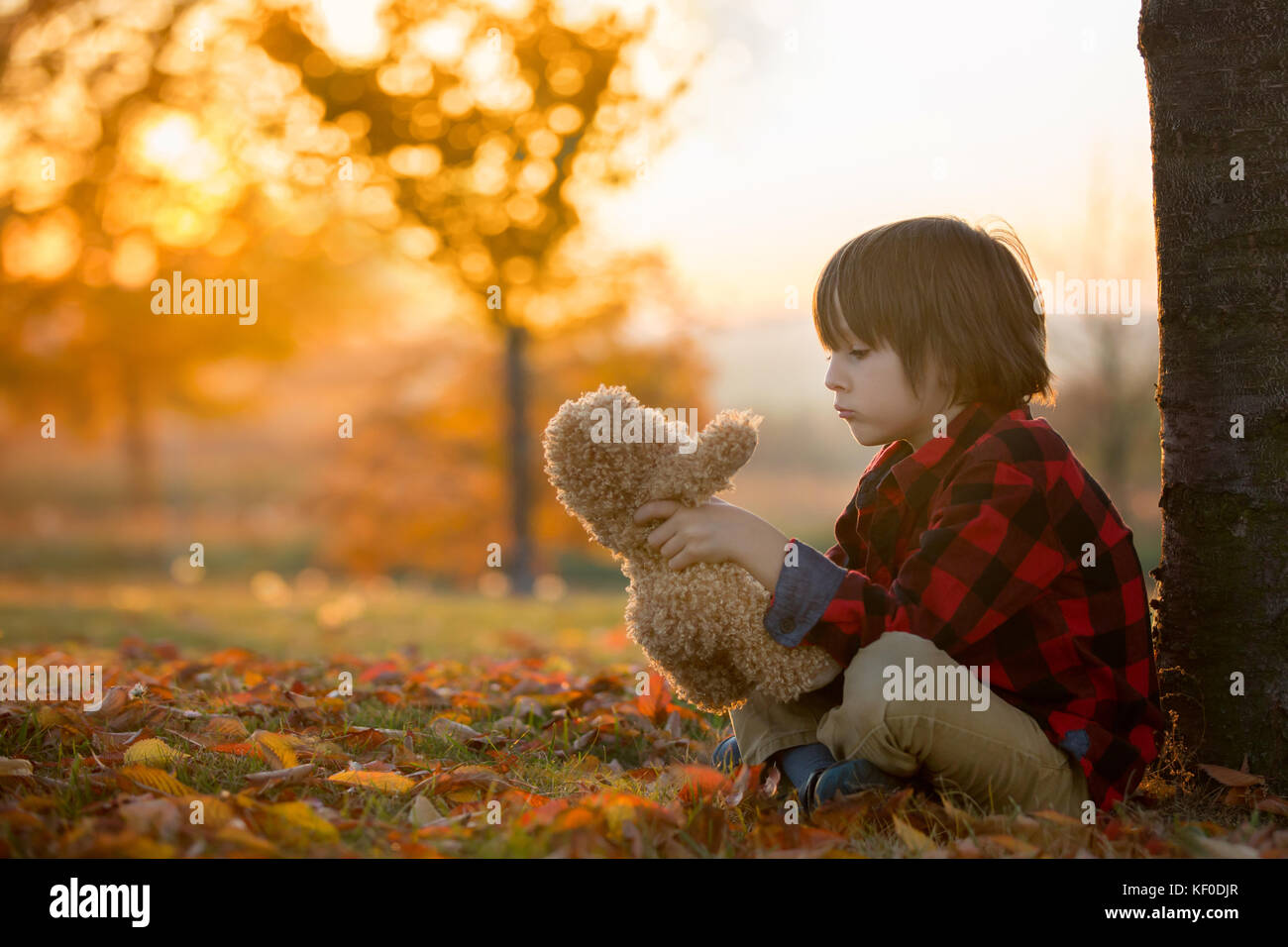 Adorable little boy with teddy bear in the park on an autumn day in the ...