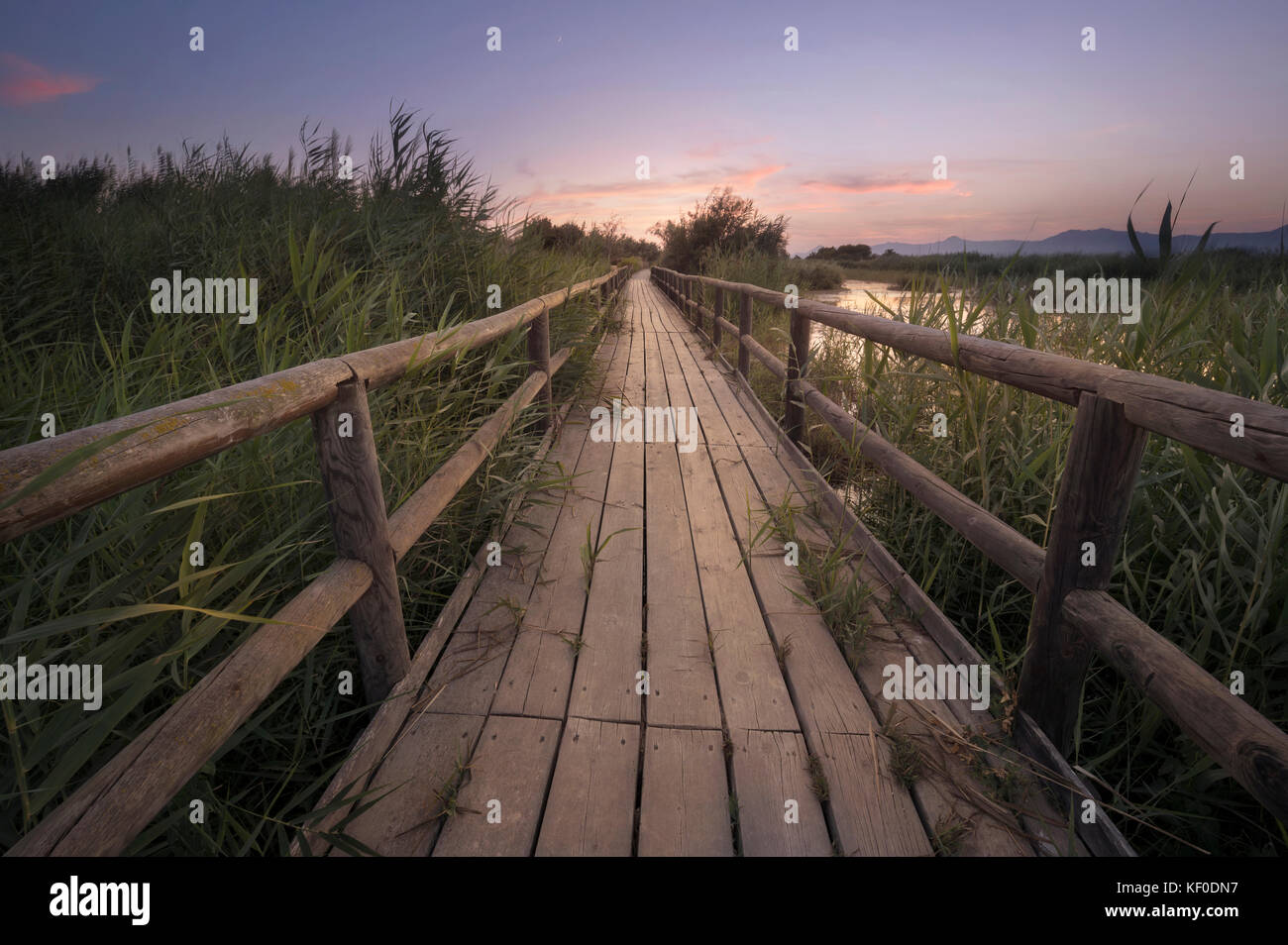 Fine art photography of a wooden path at sunset in a marsh in Alicante province, Spain. Stock Photo