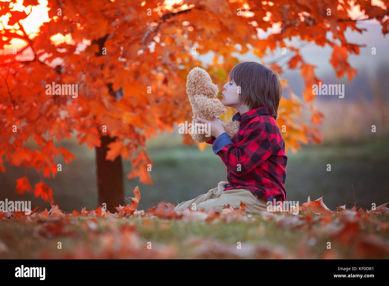 Adorable little boy with teddy bear in the park on an autumn day in the ...