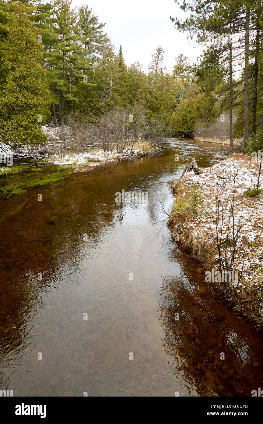 Landscape view of large green forest and flowing water in very clear ...