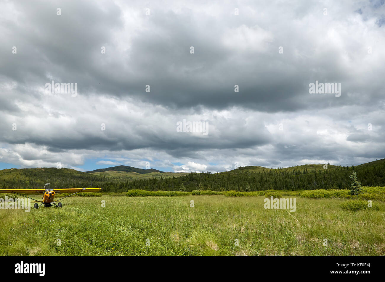 A small, yellow aircraft taking off on a grass, country runway in a scenic location under a cloudy sky. Stock Photo