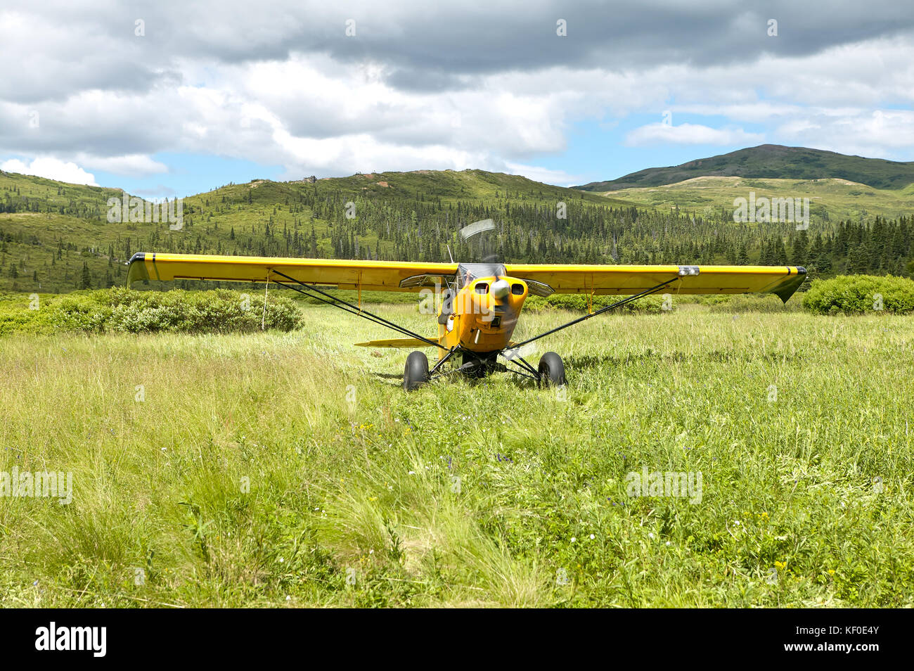 A small, yellow aircraft taking off on a grass, country meadow runway in a scenic location. Stock Photo