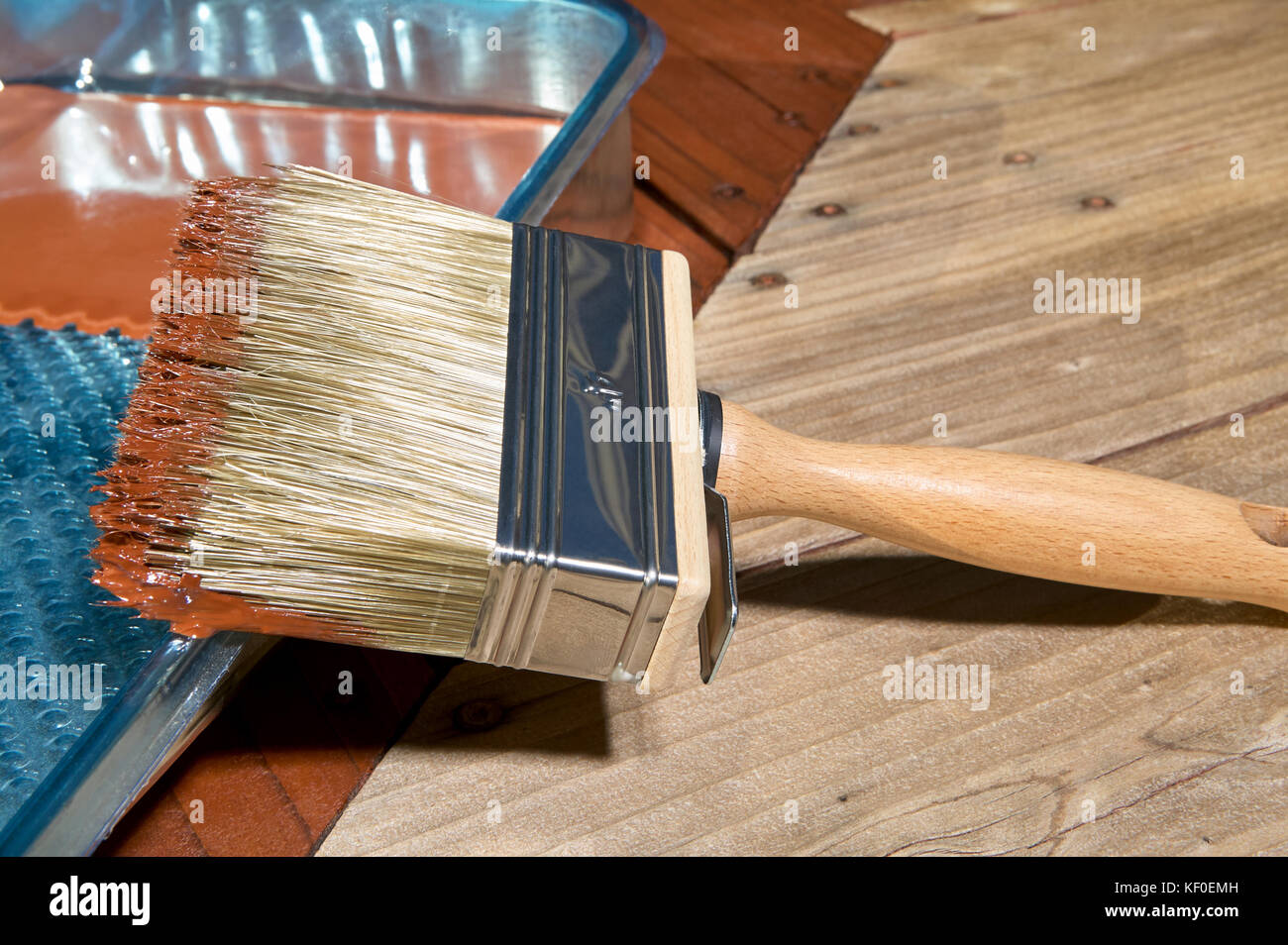 Paint brush with varnish on a partially painted wooden floor in a closeup  view on the brush and bristles in a home improvement or DIY concept Stock  Photo - Alamy