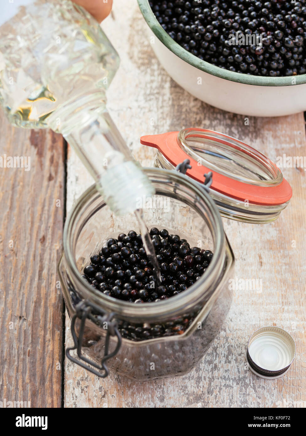 Preparing Elderberry Vodka Stock Photo Alamy