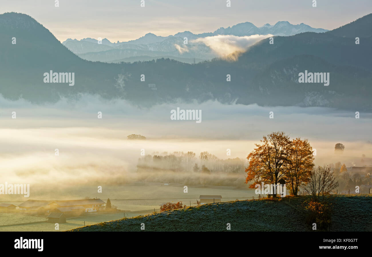 Morgenstimmung Ÿber Loisachmoor, Deutschland, Bayern, Oberbayern, Gro§weil Stock Photo