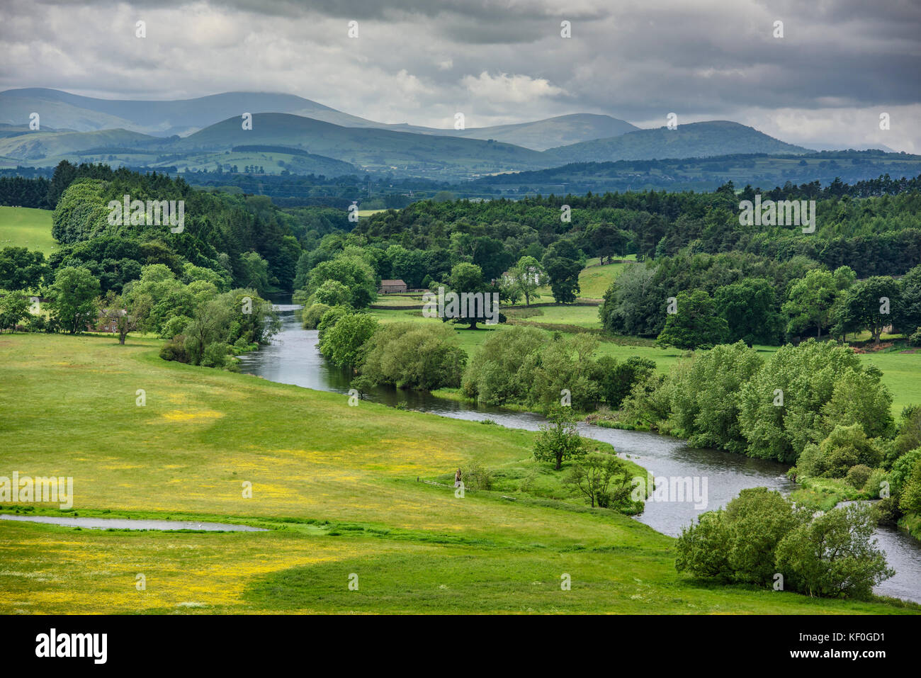 View of River Eden near Hornsby, Carlisle, Cumbria Stock Photo Alamy