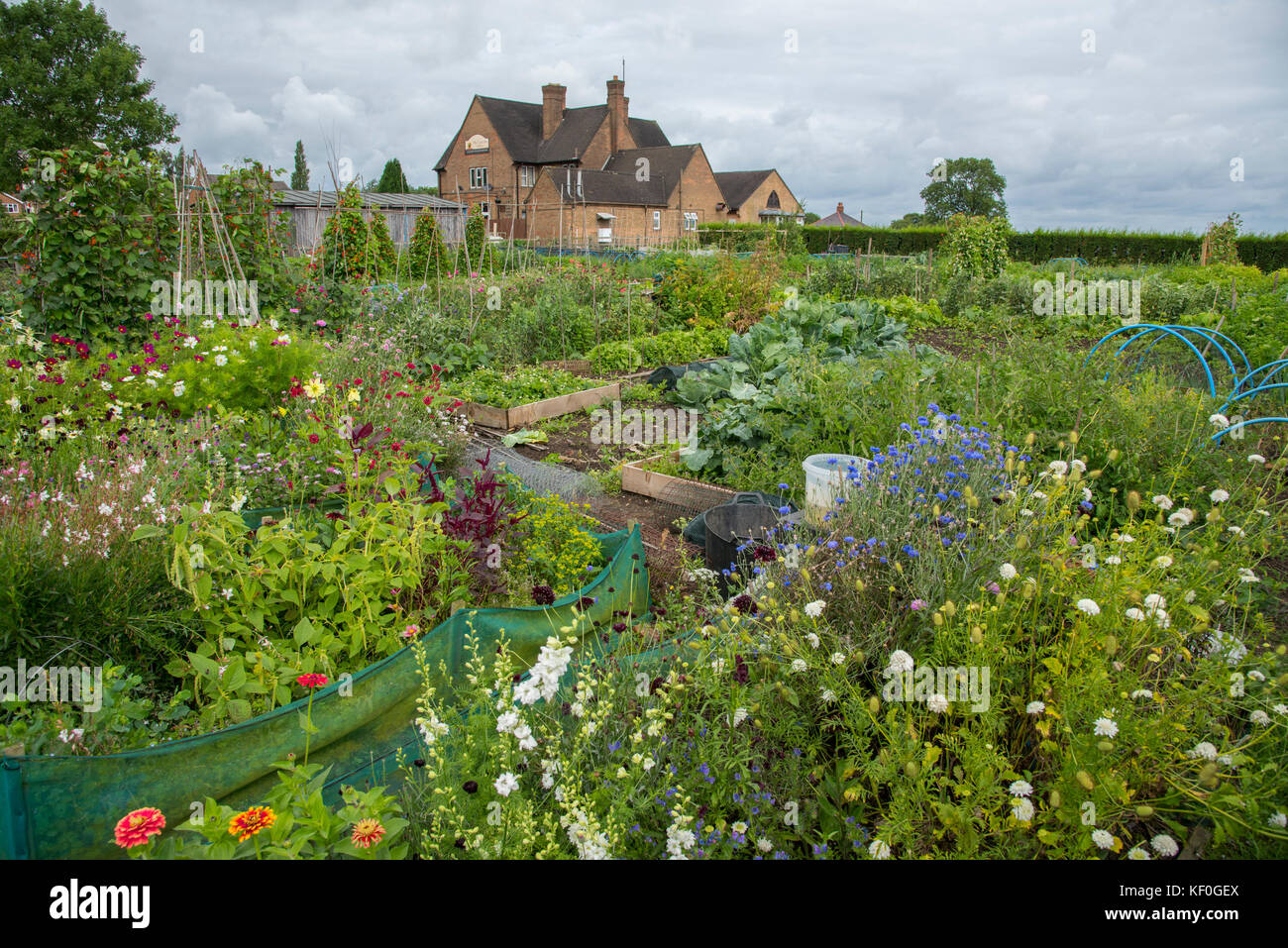 Garden allotments, Hanbury, Tutbury, BurtononTrent, Staffordshire