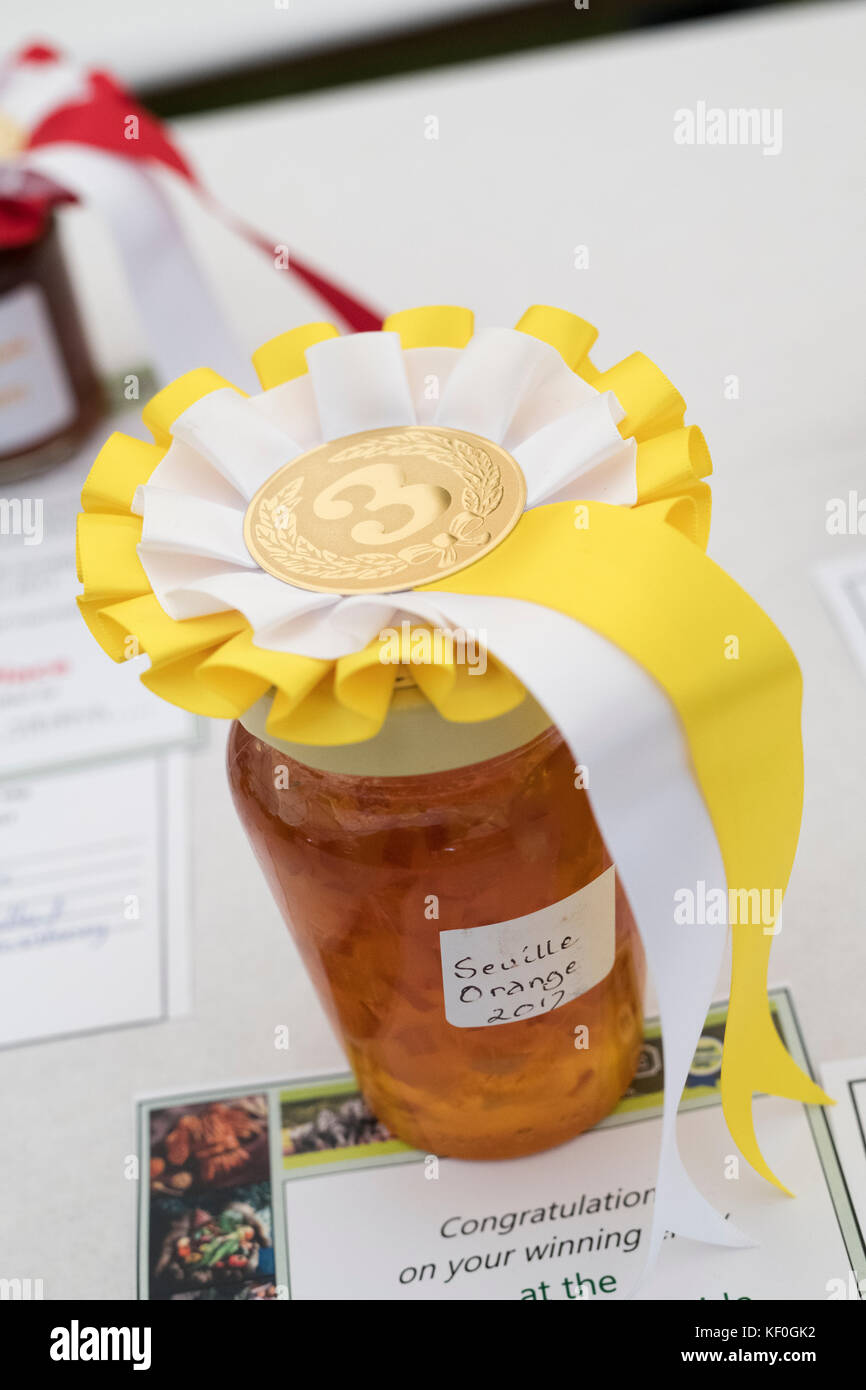 Jar of locally produced homemade marmalade and a third place rosette at Weald and Downland open air museum, autumn show, Singleton, Sussex, England Stock Photo