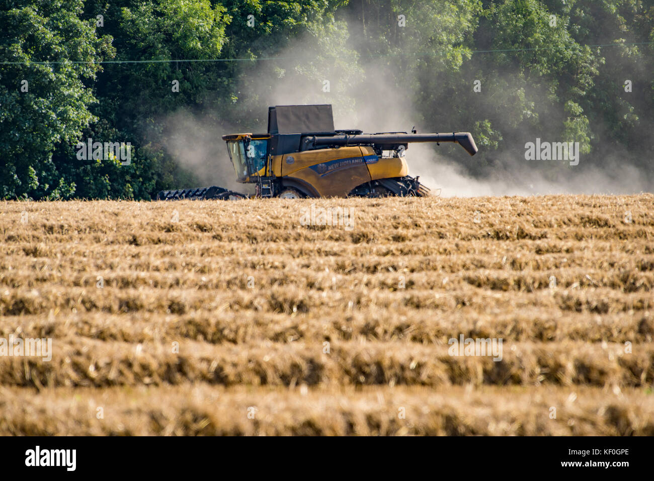 Combine harvesting, Chedwoth, Gloucestershire. Stock Photo