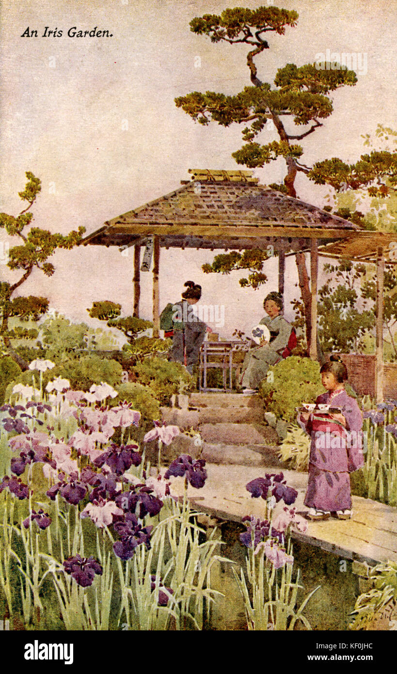 'An Iris Garden' , Japan. From the series 'Flowers and gardens of Japan' by Ella Du Cane (1874-1943). Postcard. Stock Photo