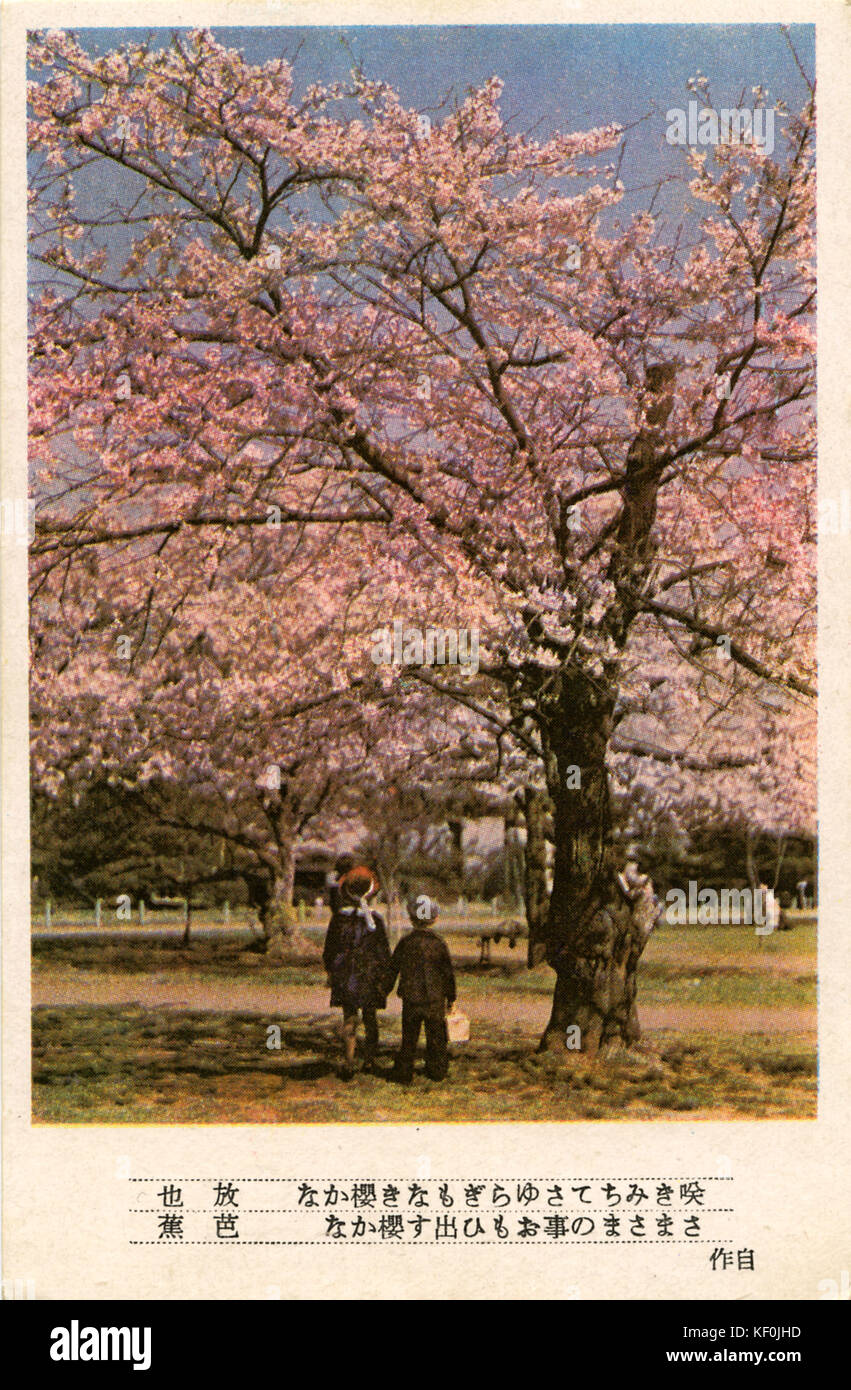 Cherry blossoms, Japan. Children look at the cherry blossom in a park. Caption on reverse reads:' Ganji Yubin - WW2, Japanese Military Mail - every Japanese soldier was issued 5 of these postcards a month by the Army. ' Stock Photo