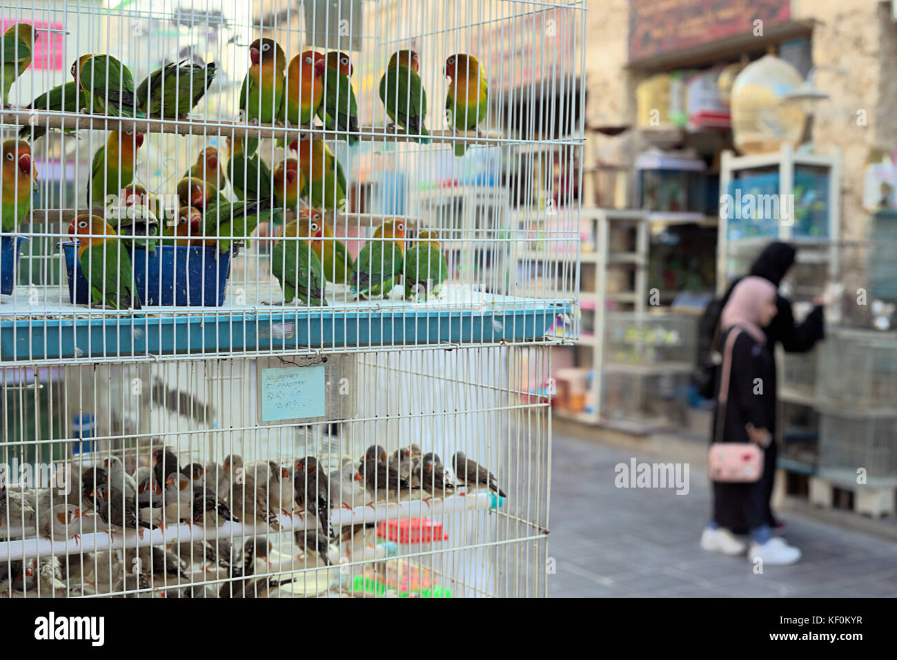 SOUQ WAQIF, DOHA, QATAR - OCTOBER 23, 2017: The pet shop area of Souq Waqif in Qatar, Arabia. Selective focus, the shoppers are not identifiable. Stock Photo