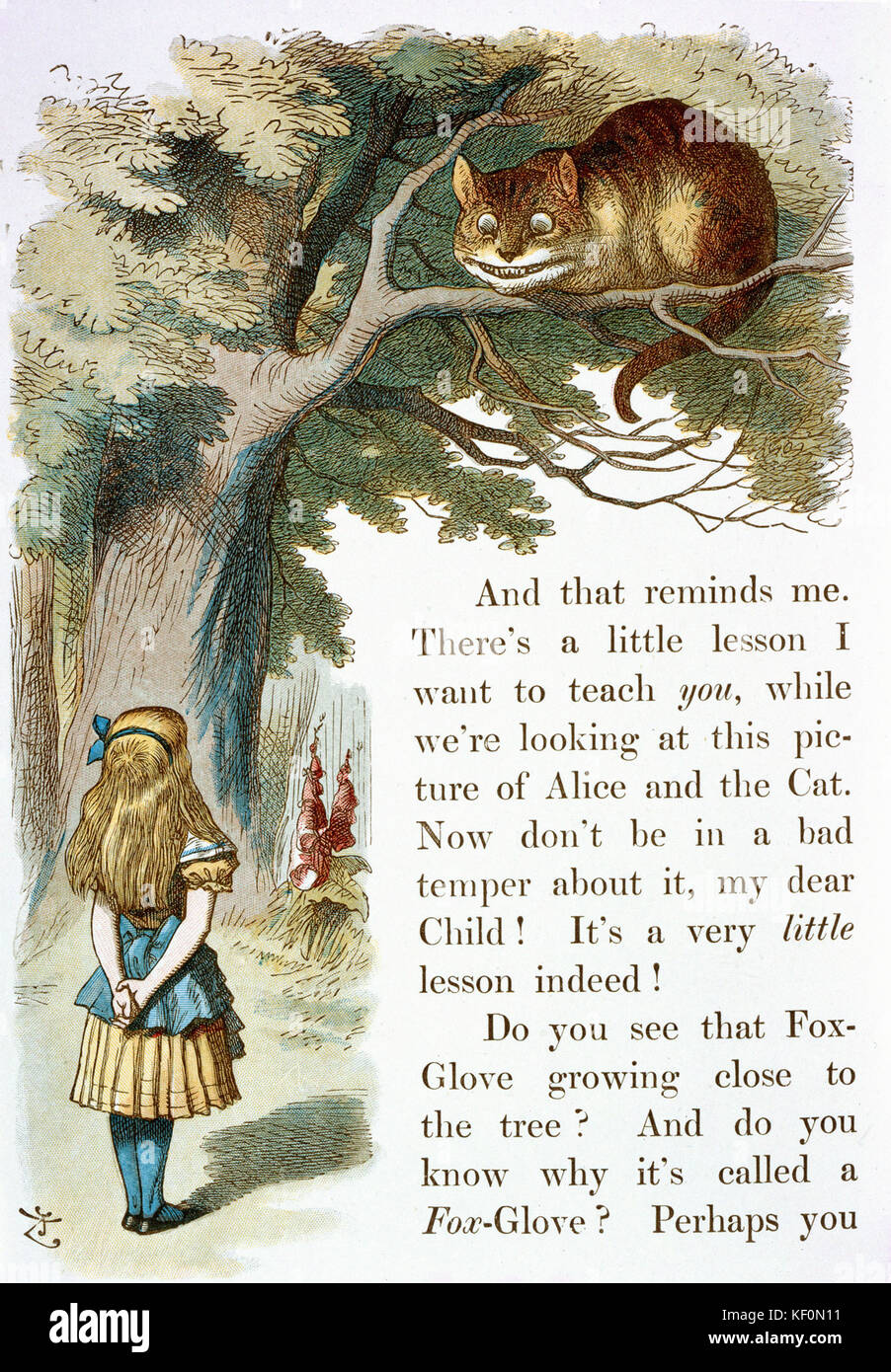 John Tenniel - Illustration from The Nursery Alice (1890) Stock Photo