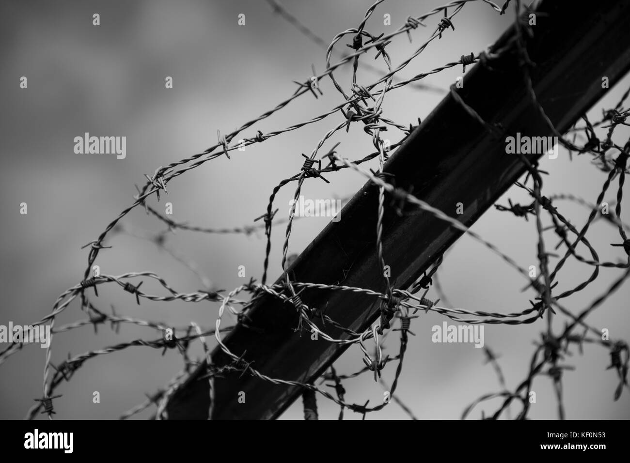 A black and white picture of a fence with barb wire Stock Photo - Alamy