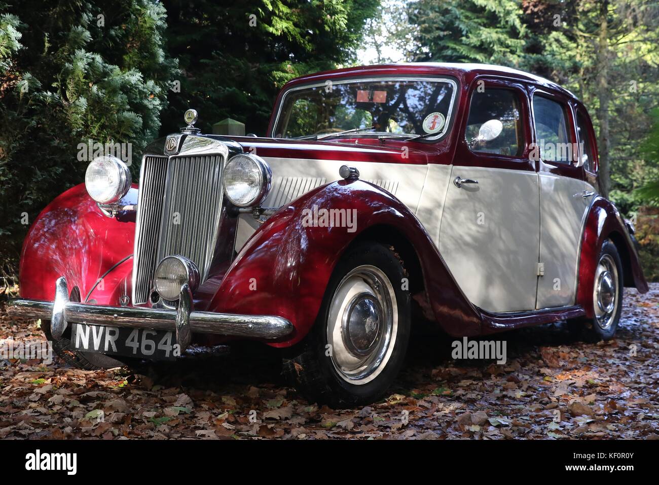 1953 MG YB 1.25 XPAG Engine  Picture by Antony Thompson Stock Photo