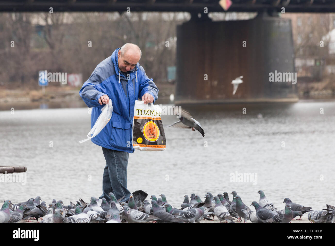 An old man feeding birds in winter in old European city Prague Stock Photo