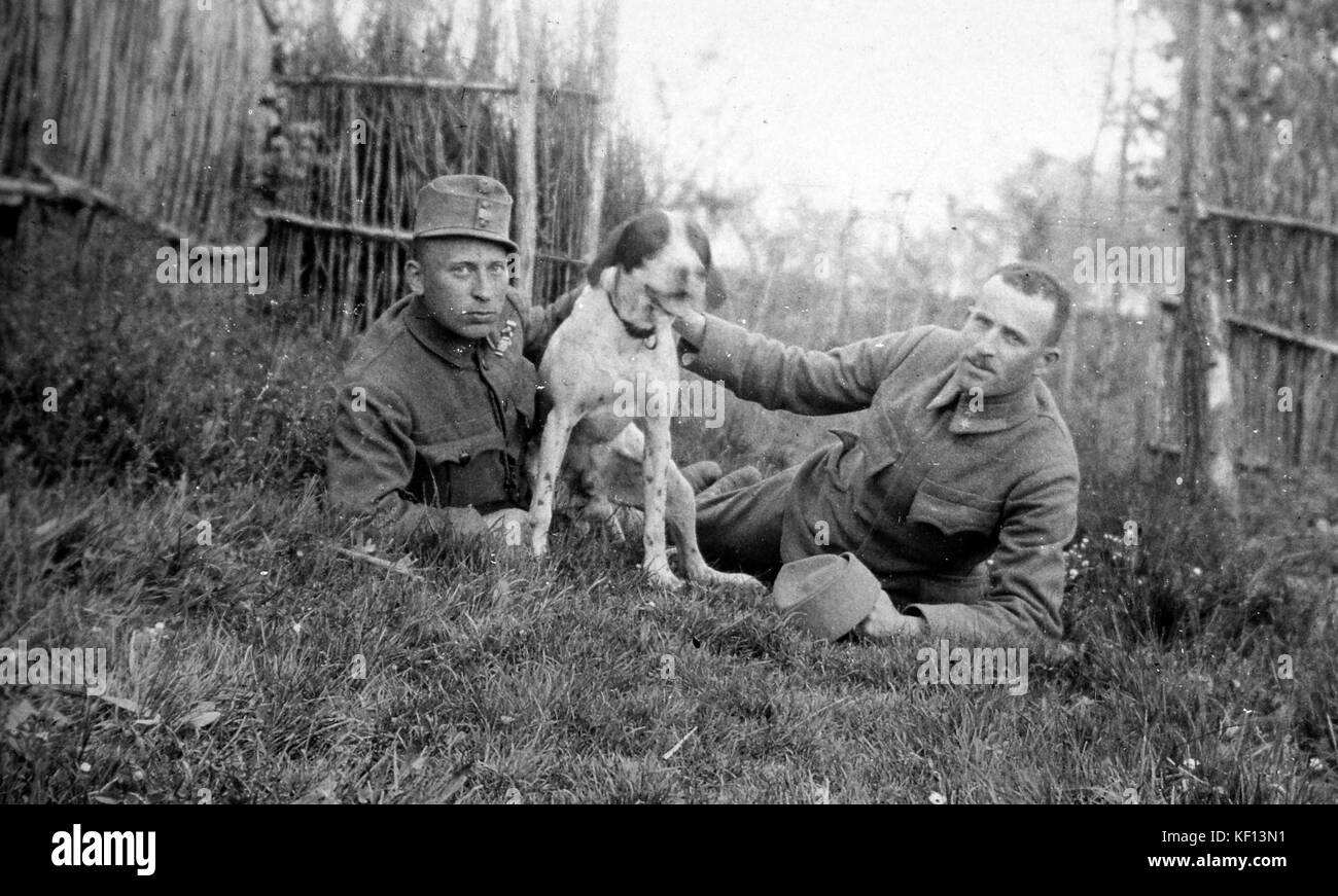 First World War, dog, men, uniform, garden 12622 Stock Photo Alamy