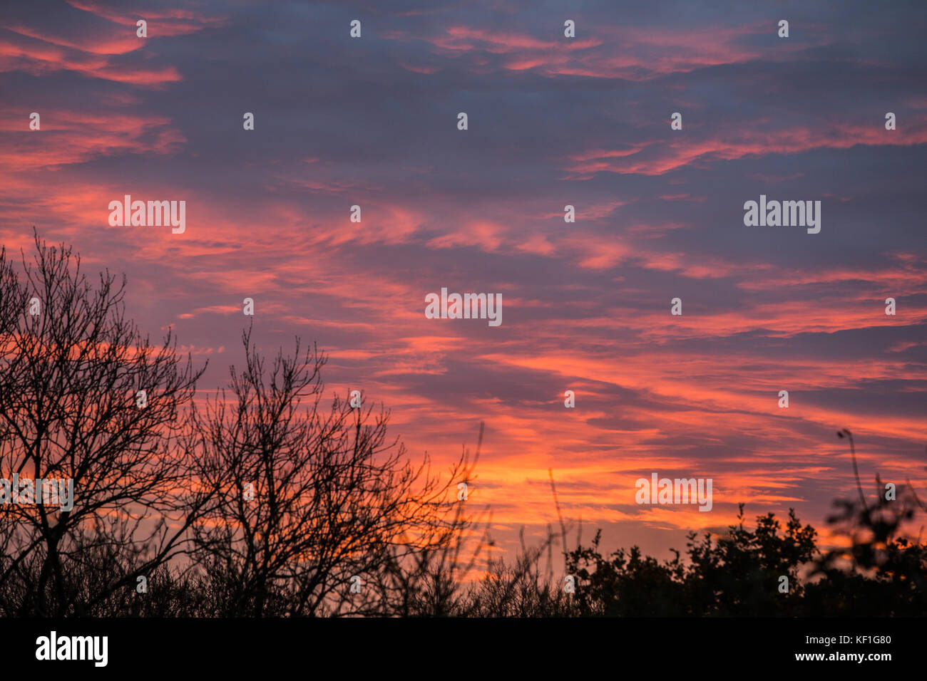 Uk Weather Cardiff Wales Uk 25th October 2017 Cardiff Was Treated To A Vivid Sunset Today 25th October 2017 After A Generally Fine Autumn Day Uk Weather Cardiff Wales Uk 25th October 2017 Cardiff Was Treated To A Vivid Sunset Today 25th October 2017 After A Generally Fine Autumn Day