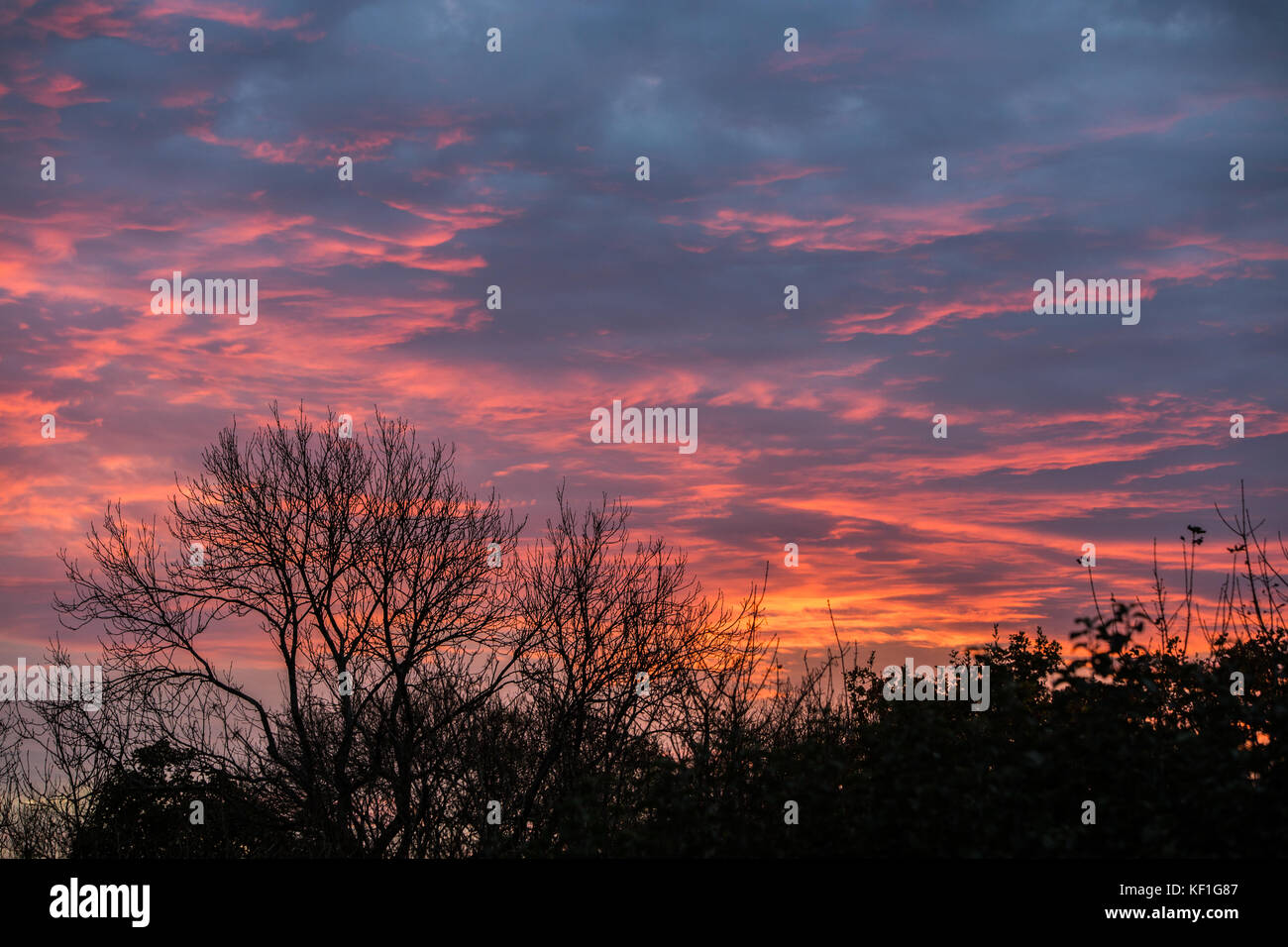 Uk Weather Cardiff Wales Uk 25th October 2017 Cardiff Was Treated To A Vivid Sunset Today 25th October 2017 After A Generally Fine Autumn Day Uk Weather Cardiff Wales Uk 25th October 2017 Cardiff Was Treated To A Vivid Sunset Today 25th October 2017 After A Generally Fine Autumn Day