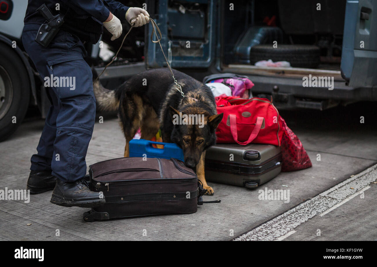 A police drug-sniffing dog sniffs at the baggage found on a van from Albania during a large-scale operation along Autobahn 6 (A6)near Bad Rappenau, Germany, 25 October 2017. The focus of the operation were drug related crimes, smuggling and the general condition of the vehicles. (The licence plates were made unrecognisable due to personal privacy concerns) Photo: Christoph Schmidt/dpa Stock Photo