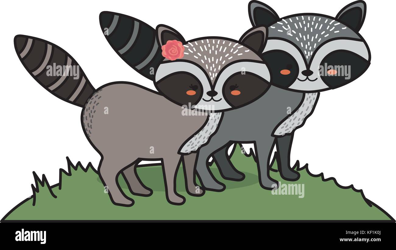 cute raccoon animal couple together Stock Vector Image & Art - Alamy